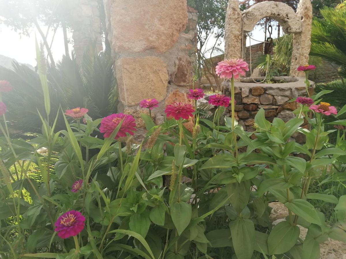 Villa Nonna Nina Capaci Eksteriør bilde